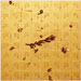 golubice (pigeon) I